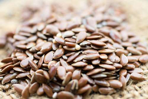 fiber Flax seeds detail