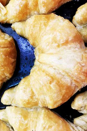 Fresh Baked Croissant