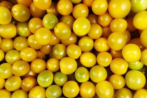 Fresh Yellow Cherry Tomato
