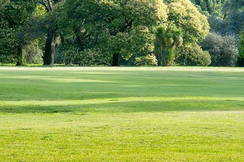suburb  Green grass at a beautiful golf course 