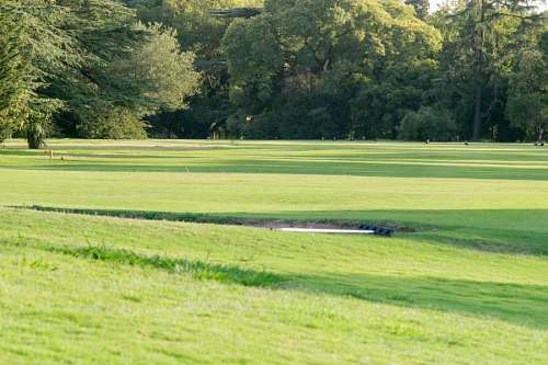 suburb  Green grass at a beautiful golf course 