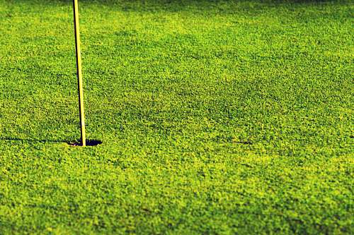 recurso Pasto verde en un hermoso campo de golf