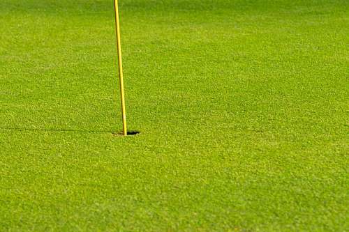 recurso Pasto verde en un hermoso campo de golf