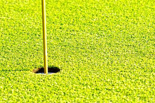 recurso Pasto verde en un hermoso campo de golf