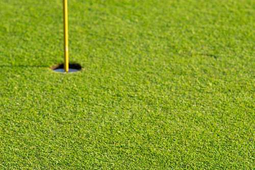 recurso Pasto verde en un hermoso campo de golf