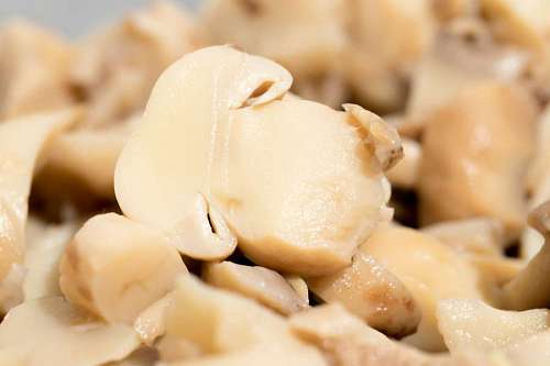 Mushrooms marinaded