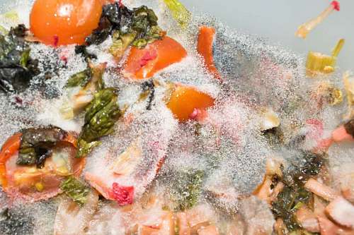 Organic biological kitchen waste, rotten salad