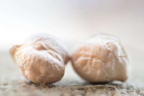  Pile of Organic Uncooked Chickpeas