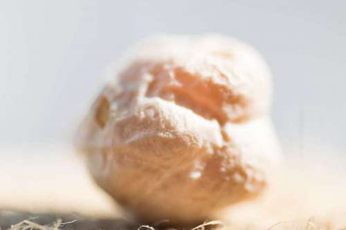  Pile of Organic Uncooked Chickpeas