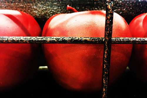 plastico Frutas de manzana de plástico para decoración