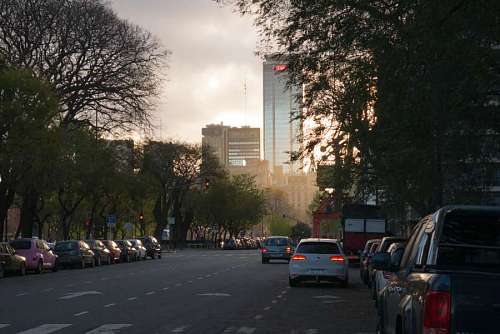 avenue Puerto Madero, Buenos Aires