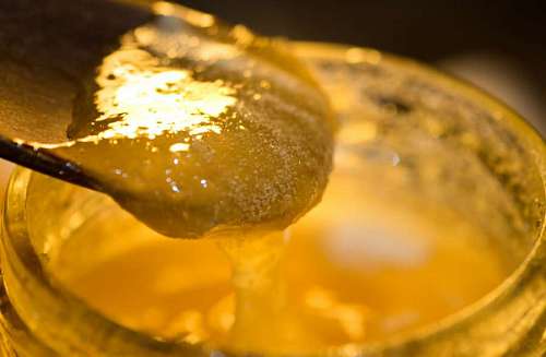 vitality Raw organic royal jelly detail