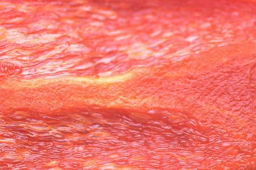 chilly Red bell pepper texture detail 