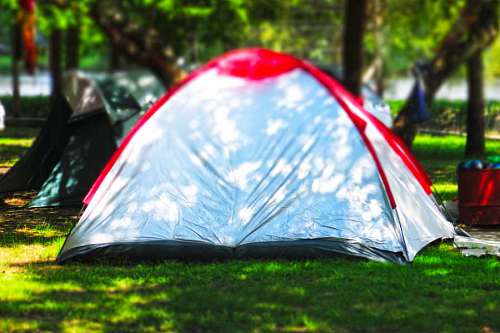 Red tent standing on grass at forest