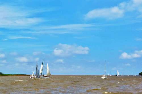 sailboat Sailboats sailing at Rio de la Plata River in Buenos Aires, Argentina