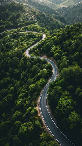 rural-scene travel landscape outdoors mountain landscape;road forest nature