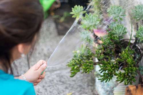riego Mujer regando en el jardín