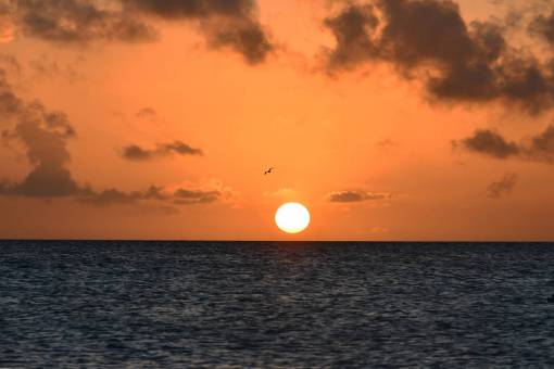 The sun falling at sunset in the sea
