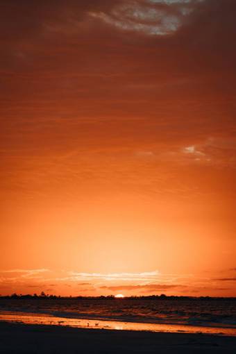 cielos Atardecer naranja en Carolina del Norte
