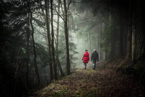 senderismo chica mujer chico hombre gente caminando trekking