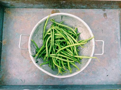 bean green beans  vegetables  food  healthy  strainer
