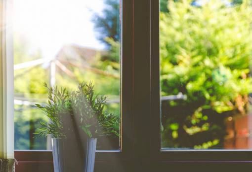 residential house  home  residential  windows  panes  potted  plants
