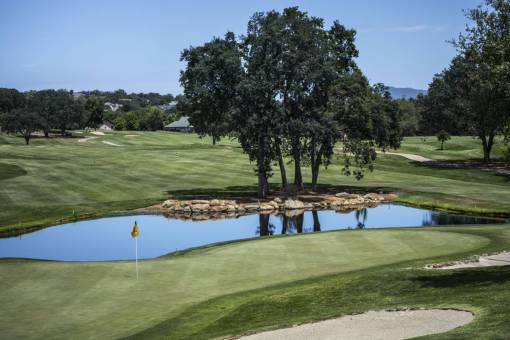 pond nature  landscape  golf  course  field  grass  green