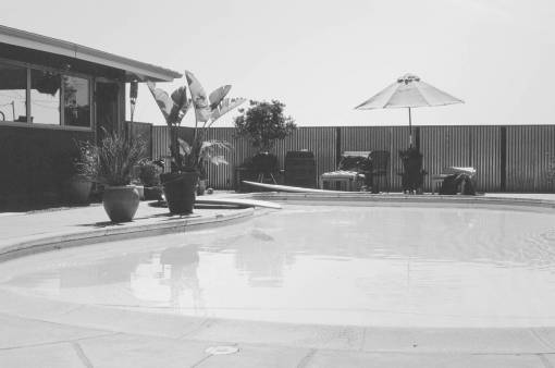 umbrella pool  backyard  umbrella  patio  plants  backyard  house