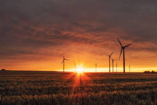 environmental-conservation Wind turbines in a field at sunset