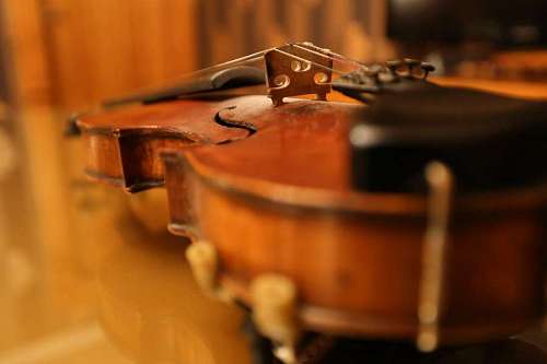 vertical Front view of a concert violin