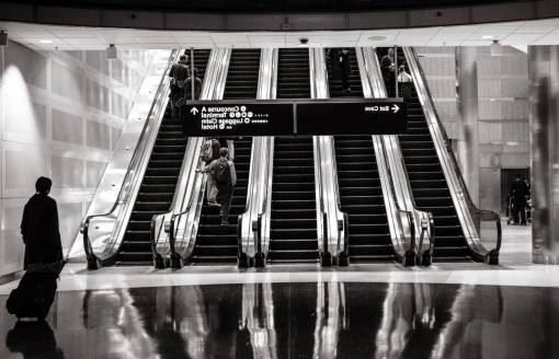 airport-terminal airport  escalator  transportation  travel  trip
