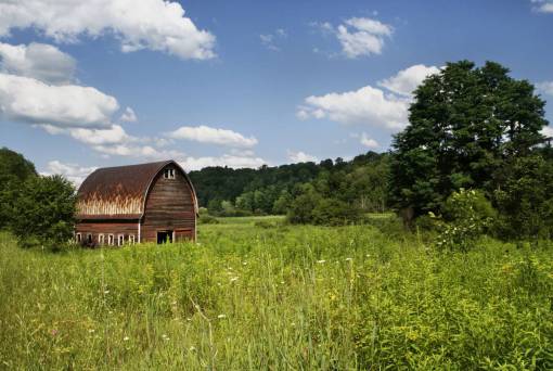 barn barn  farm  country  fields  grass  trees  nature