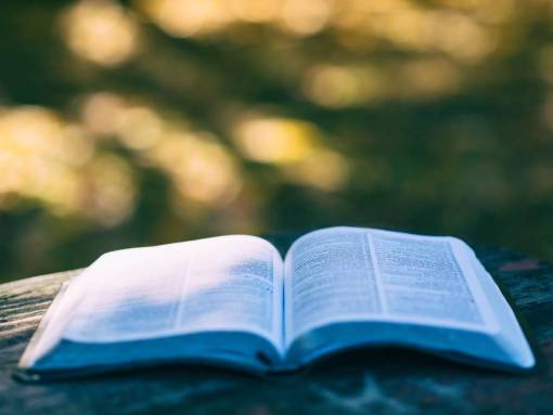biblia Biblia libro lectura mesa bokeh