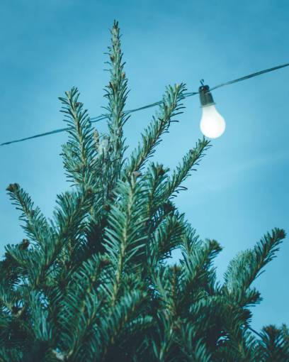 bombo cielo azul árbol bombilla alambre electricidad