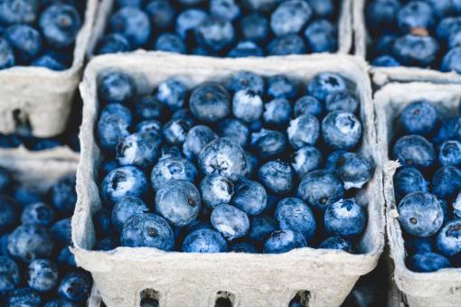 blueberries blueberries  blueberry  fruits  basket  food  market
