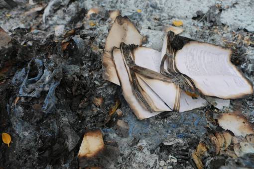 page books  burnt  burning  ashes  fire  pages
