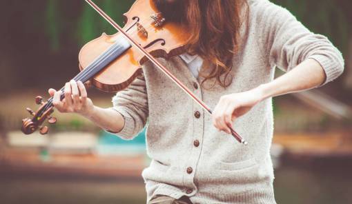 violin crafts  hobby  music  instrument  violin  play  person