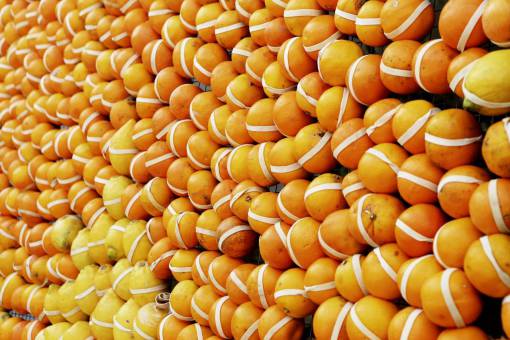 lemon fruits  oranges  lemons  wall
