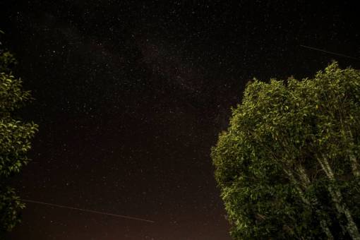 shooting galaxy  night  stars  shooting  trees  dark  sky