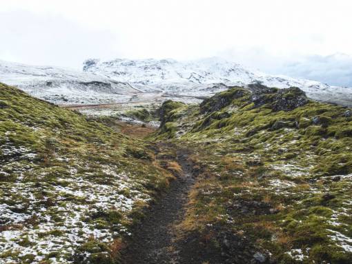 moss green  grass  plant  moss  path  road  mountain