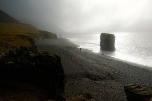 iceland  beach  fog  moody  gloomy  nature  landscape