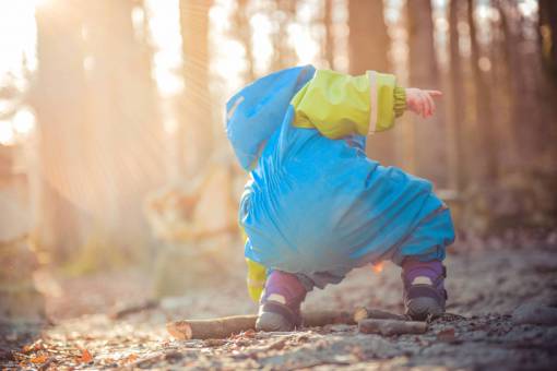 alexa kid  child  playing  outdoors  nature  fall  autumn