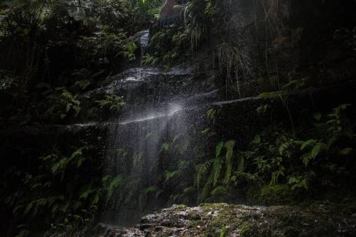 caido naturaleza bosque bosques hojas árboles agua caídas