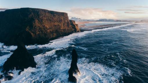 ave oceanica naturaleza paisaje olas océano mar agua viajes