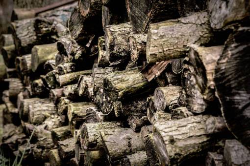 lumber nature  trees  trunk  wood  lumber  brown

