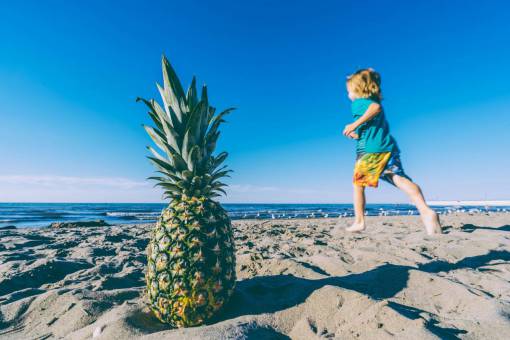 crop-plant pineapple  dessert  appetizer  fruit  juice  crop  beach
