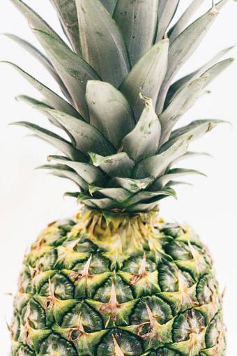 pineapple pineapple  dessert  appetizer  fruit  juice  food  juicy
