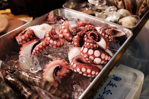 seafood seafood  octopus  tentacles  ice  food  fresh
