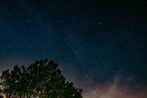 cielo noche estrellas árboles galaxia oscuro naturaleza
