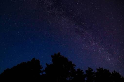 estrellas cielo noche galaxia árboles oscuros silueta